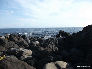 Acque_Grandi - 06-11-2012 08-57-40.JPG